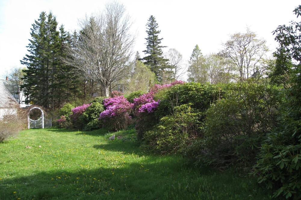 Photo of Outdoor in Chester