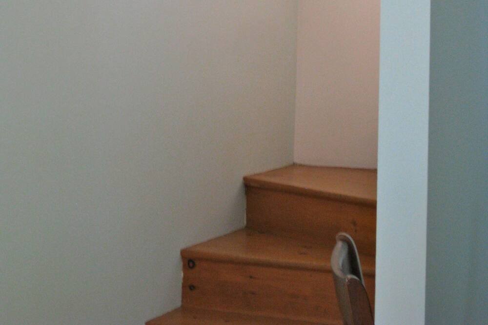 Photo of Others in Chester