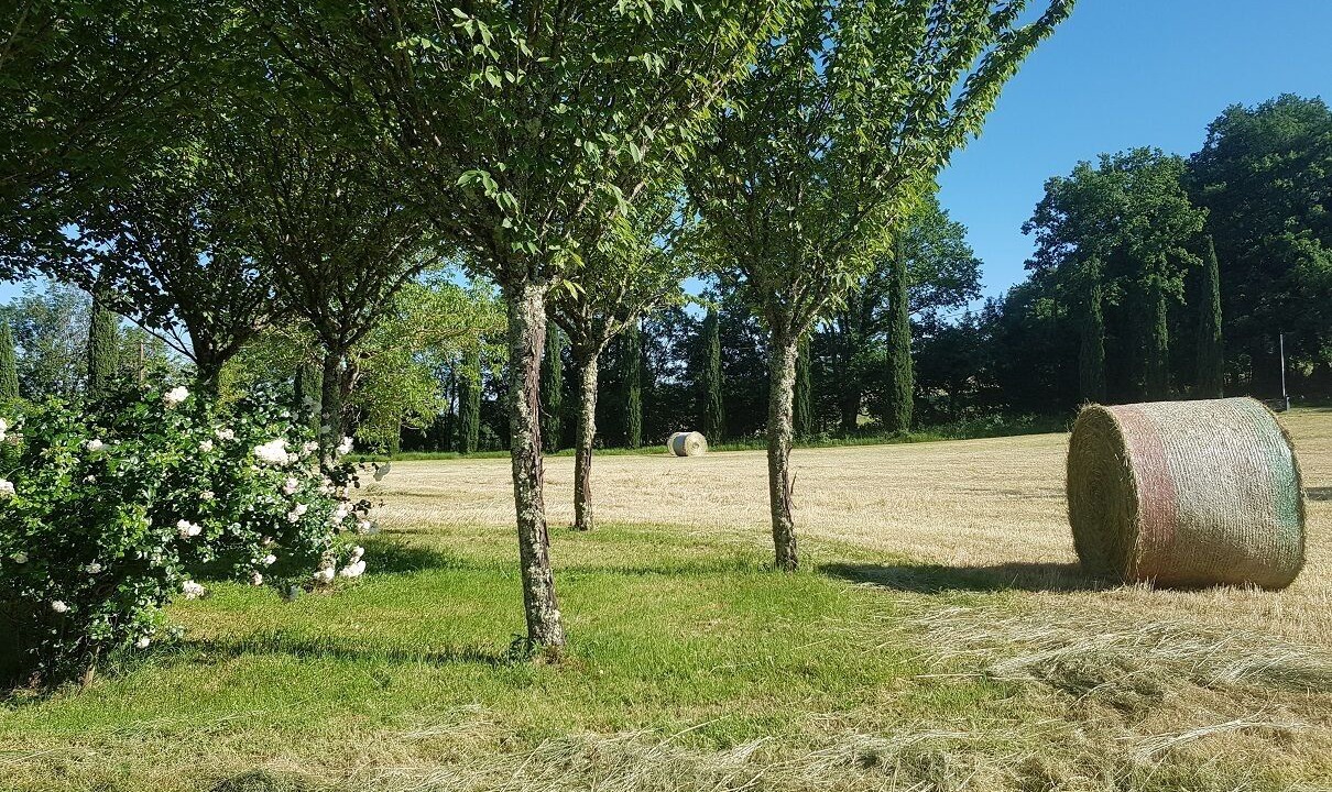 Photo of Outdoor in Sarrazac