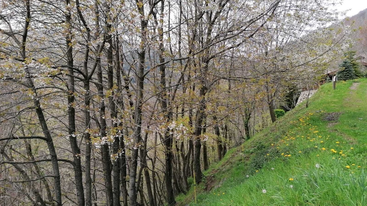 Photo of Others in Vilallonga de Ter