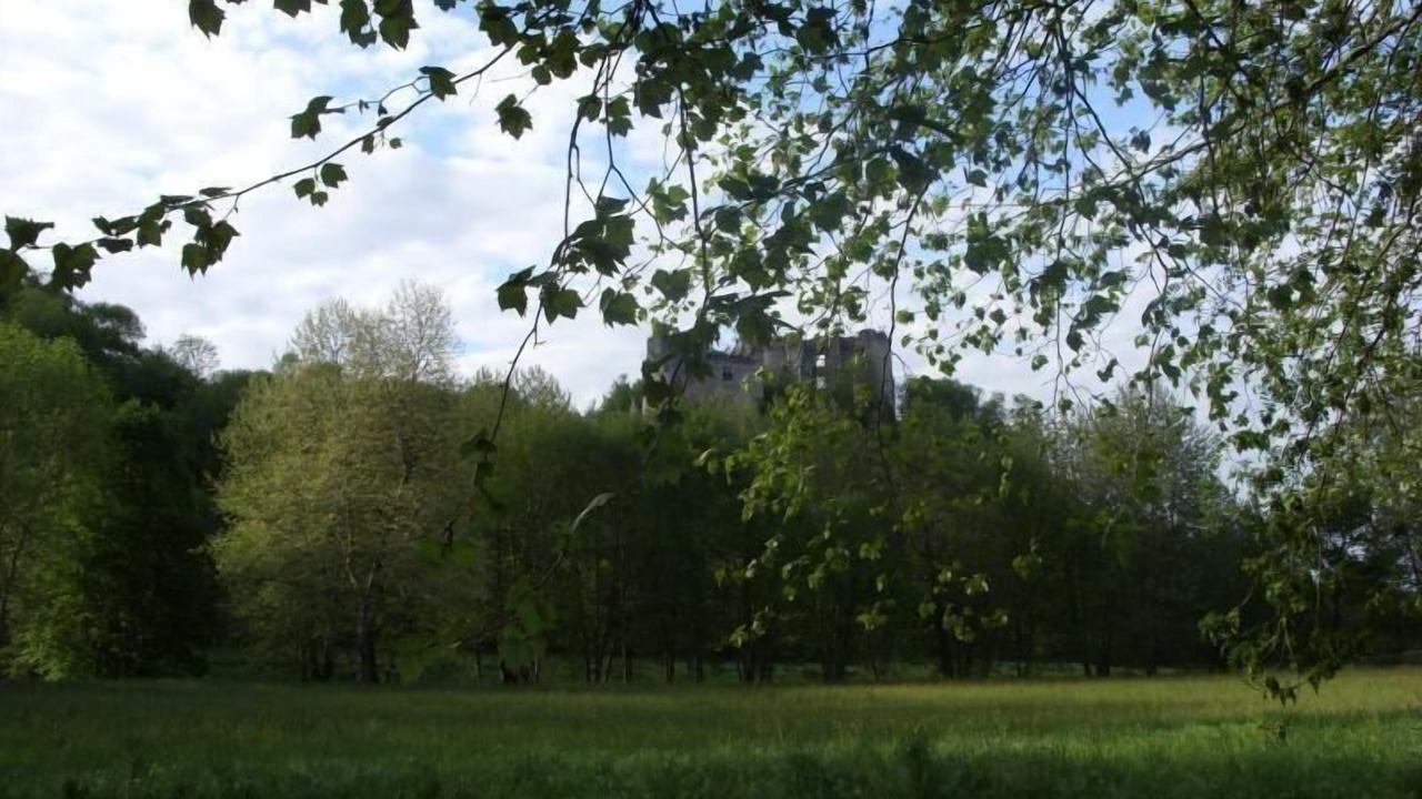 Photo of Outdoor in Saint-Pierre-de-Cole
