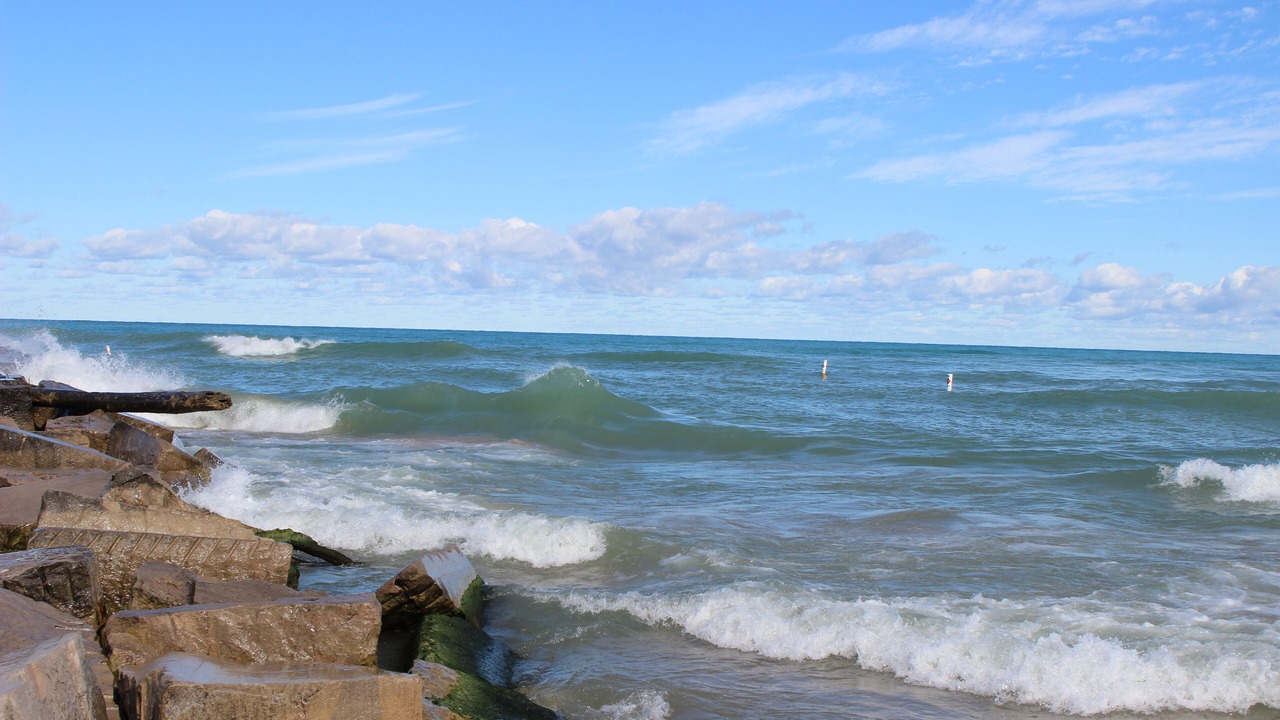 Photo of Others in Michigan City