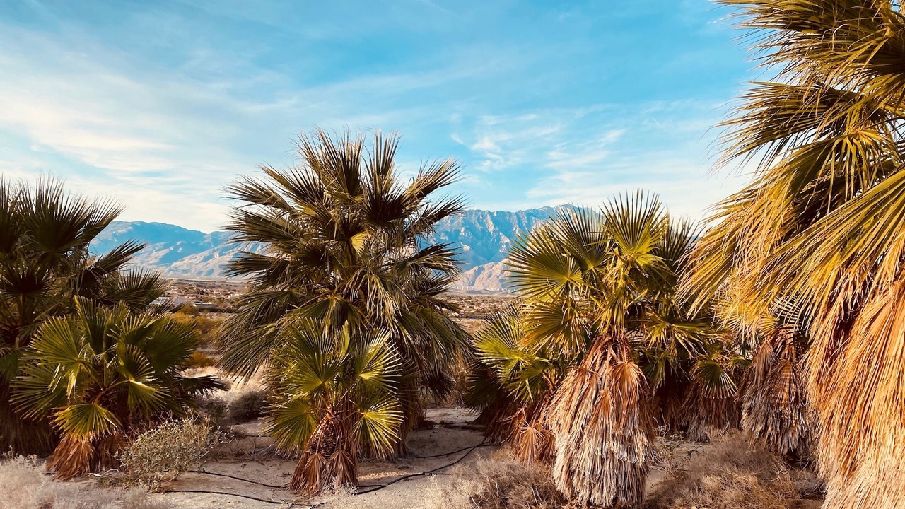 Photo of Others in Desert Hot Springs