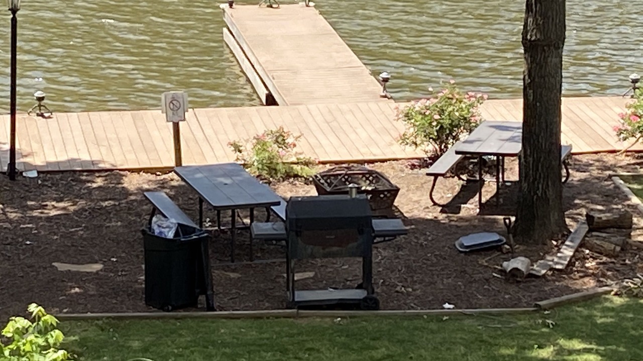 Photo of Outdoor in Misty River