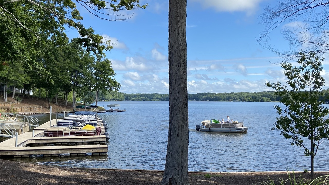 Photo of Outdoor in Misty River