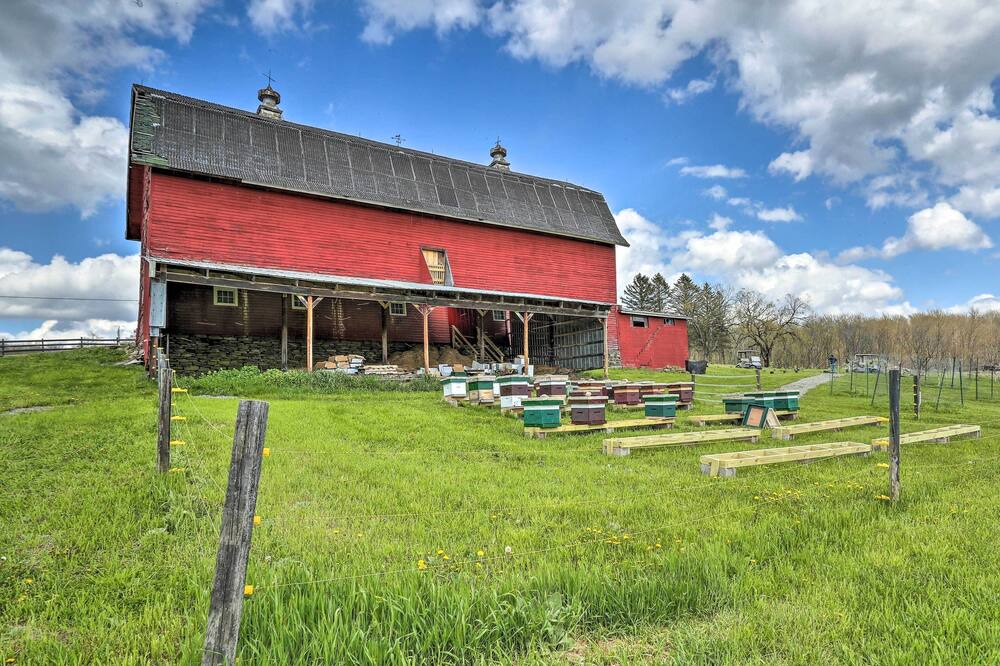 Photo of Others in Pleasant Mount