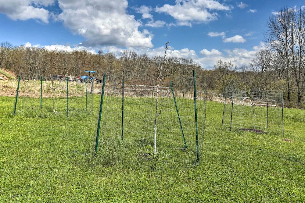 Photo of Others in Pleasant Mount