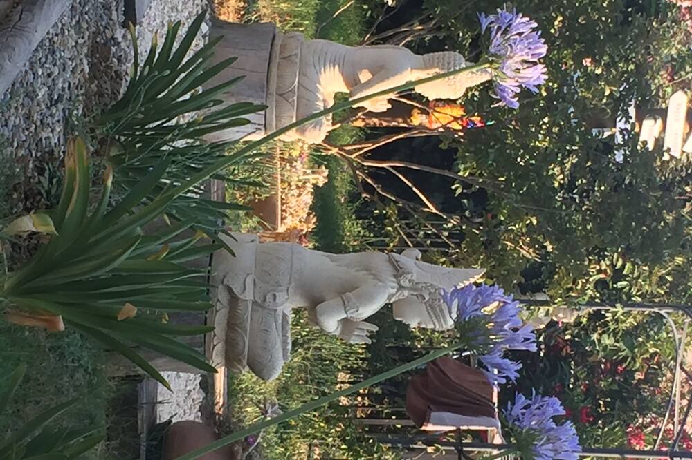 Photo of Outdoor in Saint-Julien-de-Peyrolas