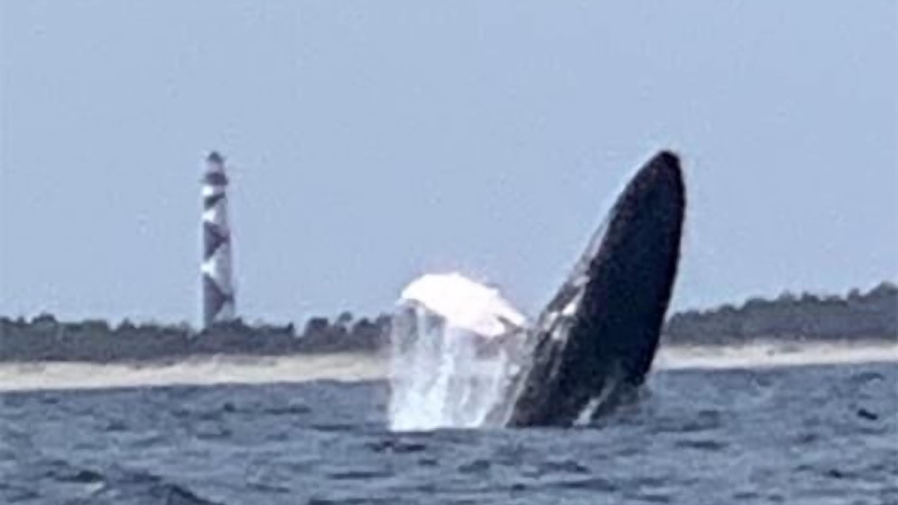 Photo of Others in Sealevel