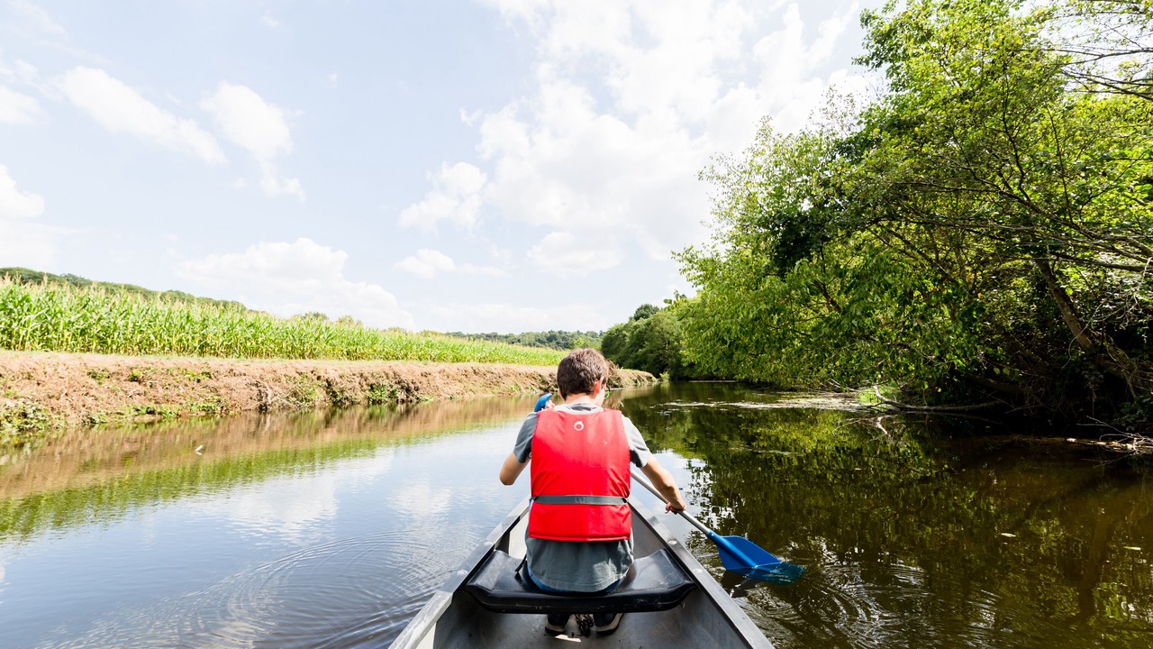 Photo of Others in Force