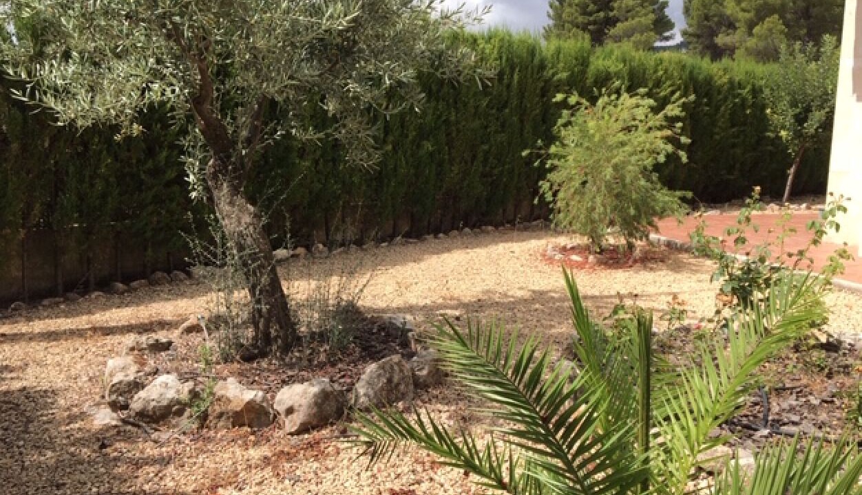 Photo of Outdoor in Torremanzanas