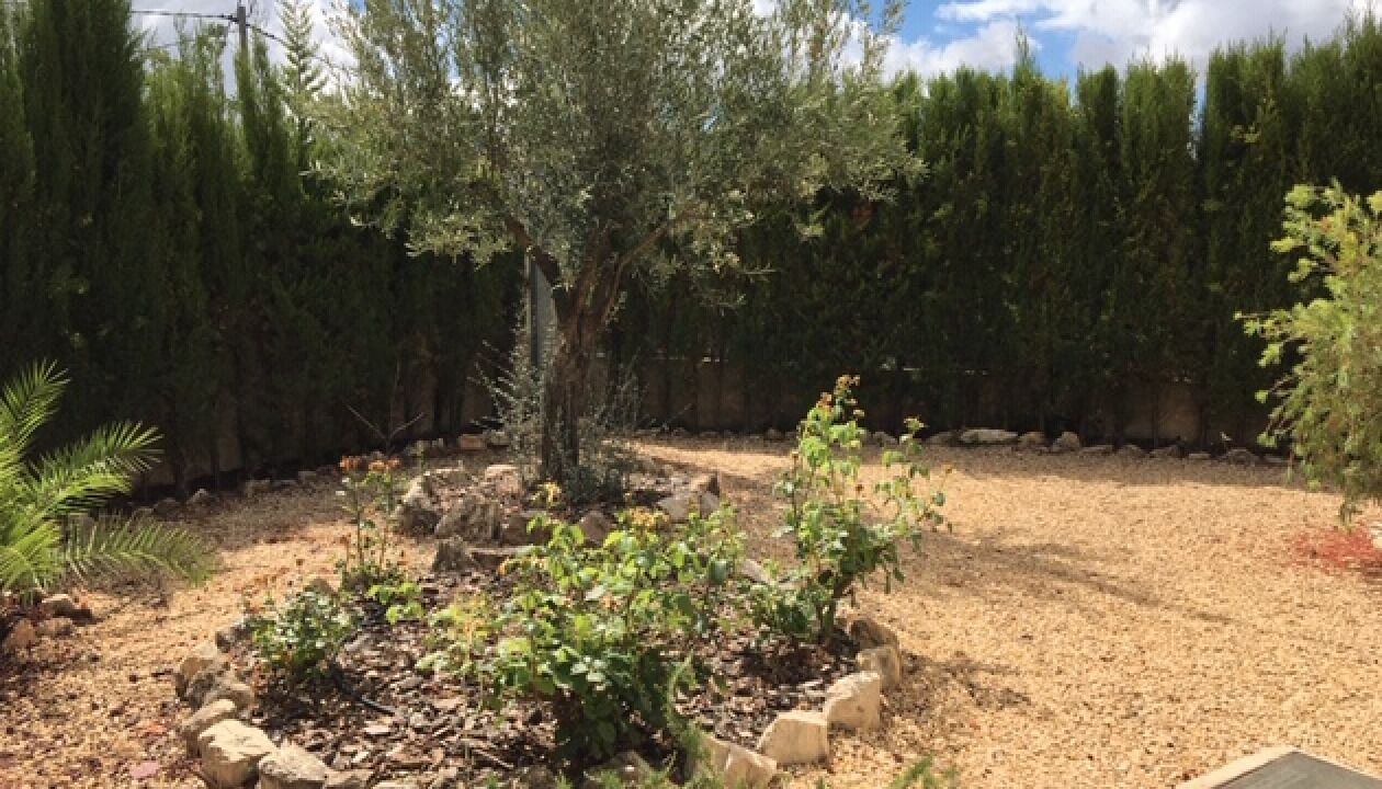 Photo of Outdoor in Torremanzanas