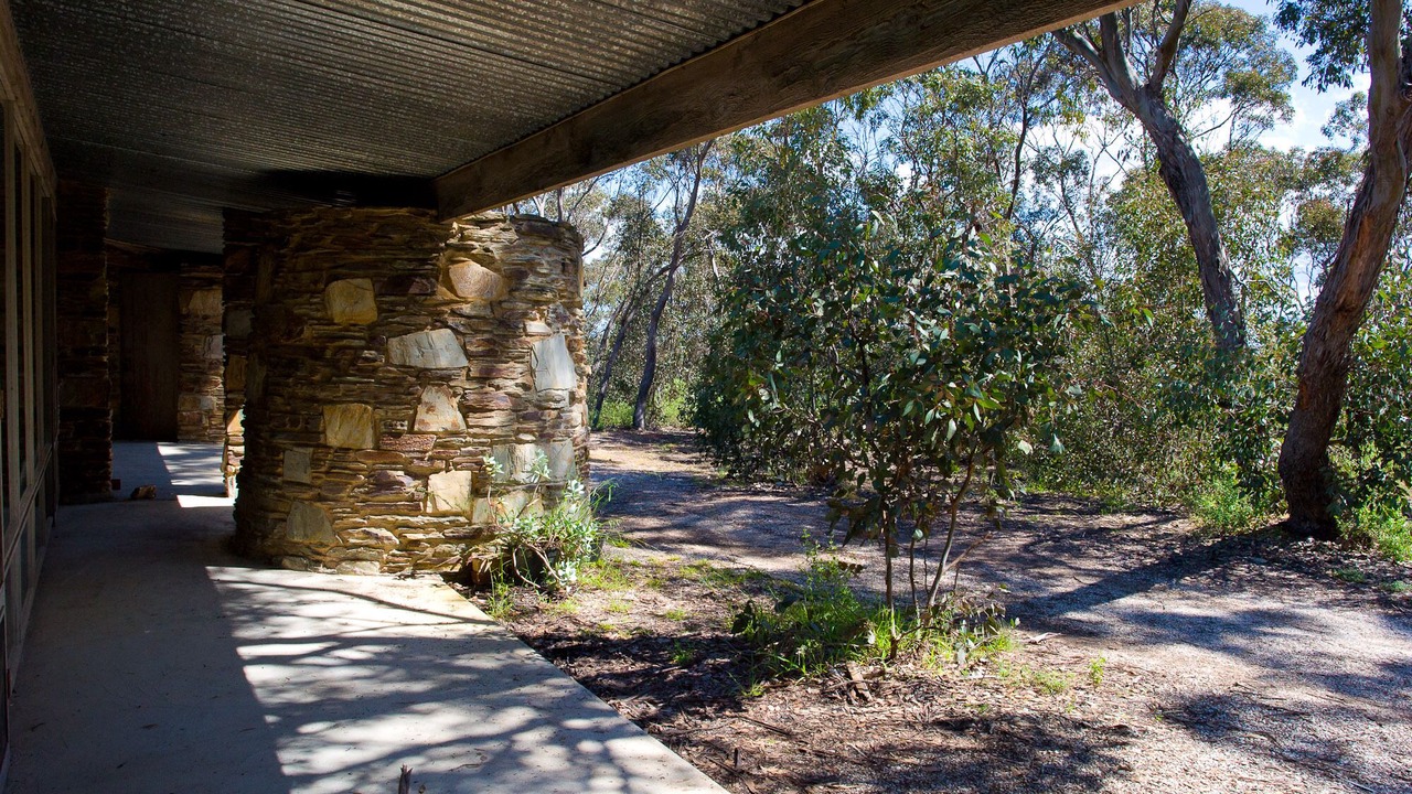Photo of Outdoor in Long Forest
