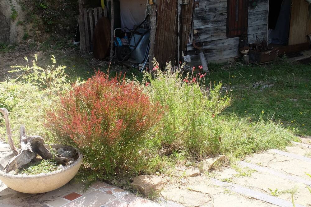 Photo of Outdoor in Saint-Antoine-l'Abbaye