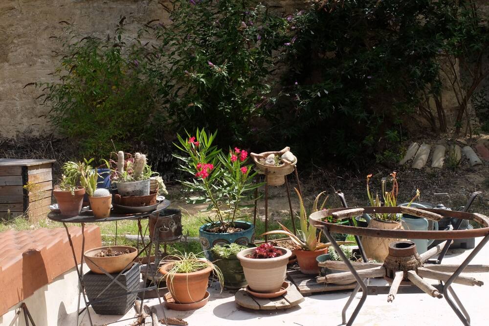 Photo of Outdoor in Saint-Antoine-l'Abbaye