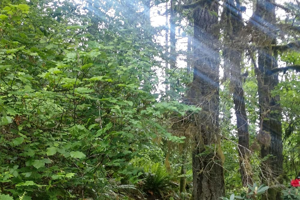 Photo of Outdoor in Yamhill