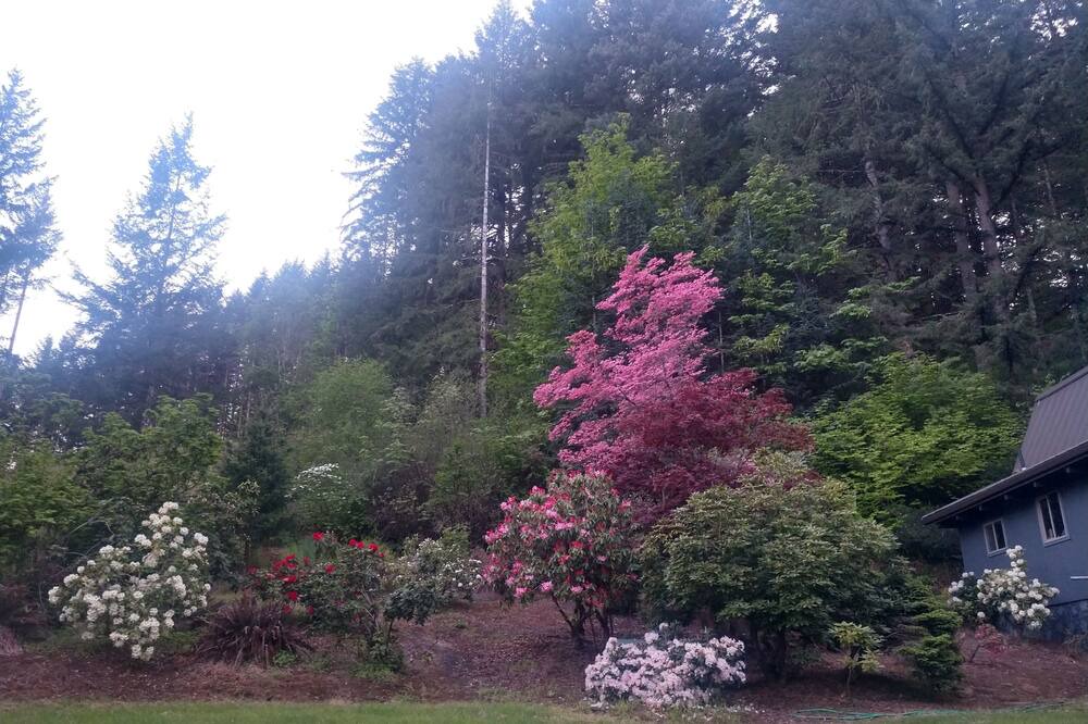 Photo of Outdoor in Yamhill