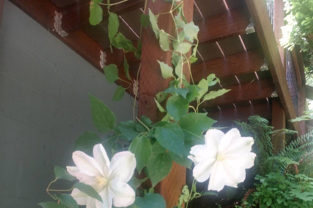 Photo of Outdoor in Yamhill