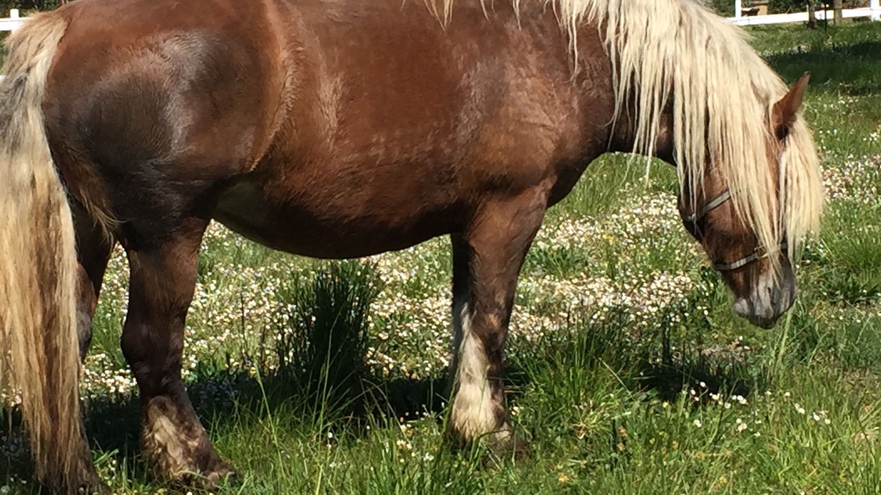 Photo of Outdoor in Saint-Quentin-la-Poterie