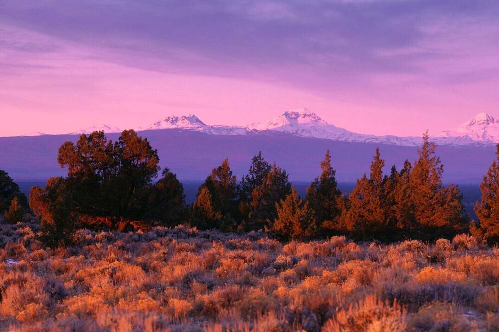 Photo of Others in Powell Butte