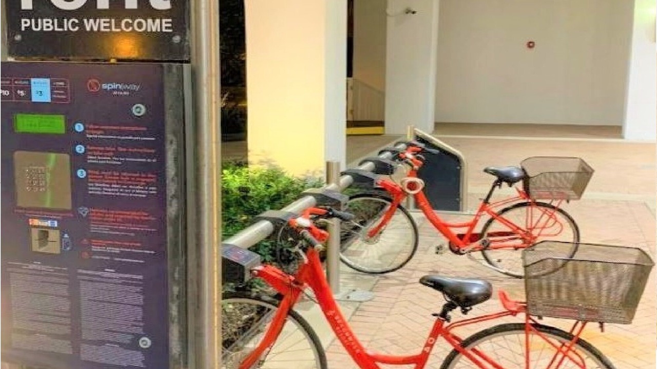 Photo of Outdoor in Hallandale Beach