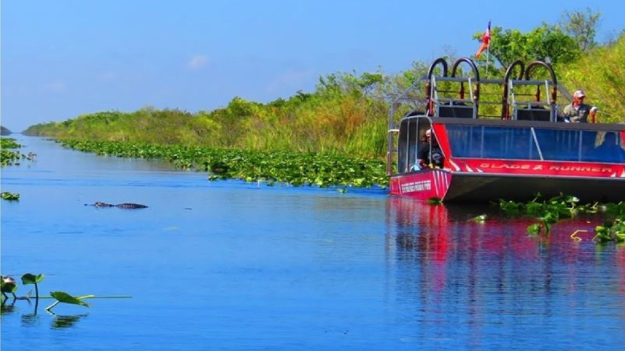 Photo of Others in Hallandale Beach
