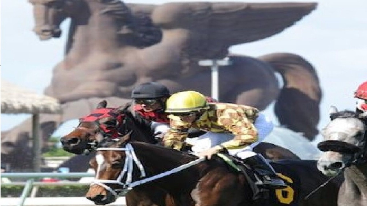 Photo of Others in Hallandale Beach