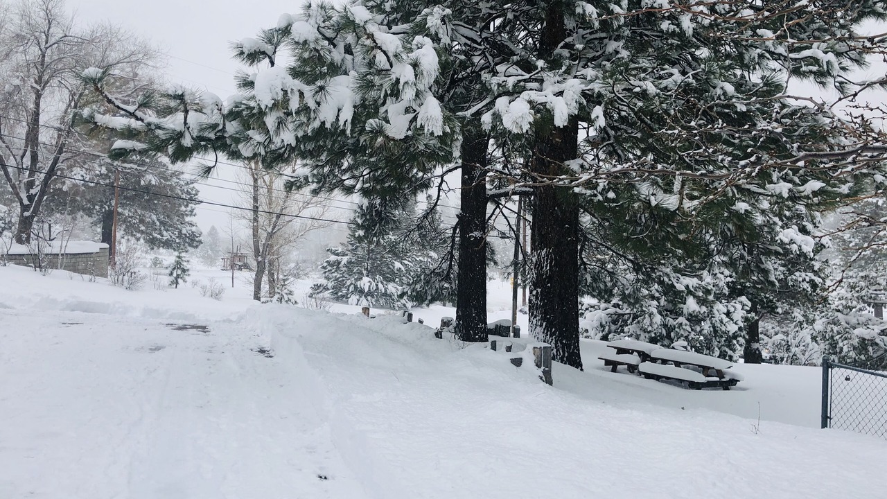 Photo of Outdoor in Wrightwood