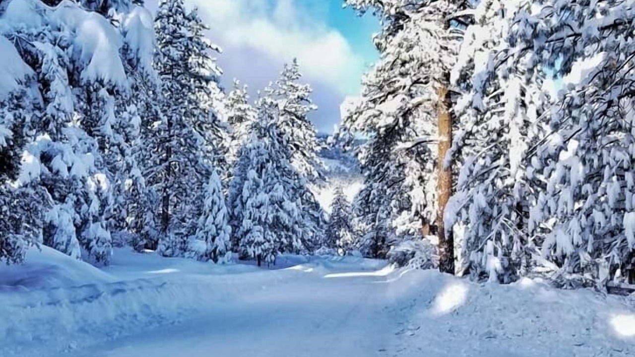 Photo of Outdoor in Wrightwood