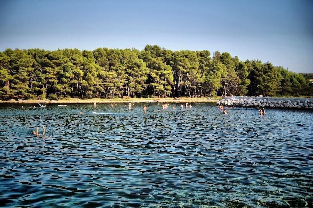 Photo of Others in Molat
