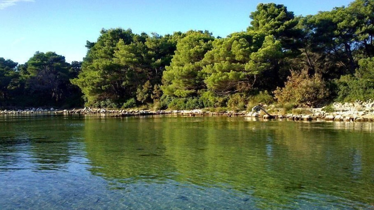 Photo of Others in Molat