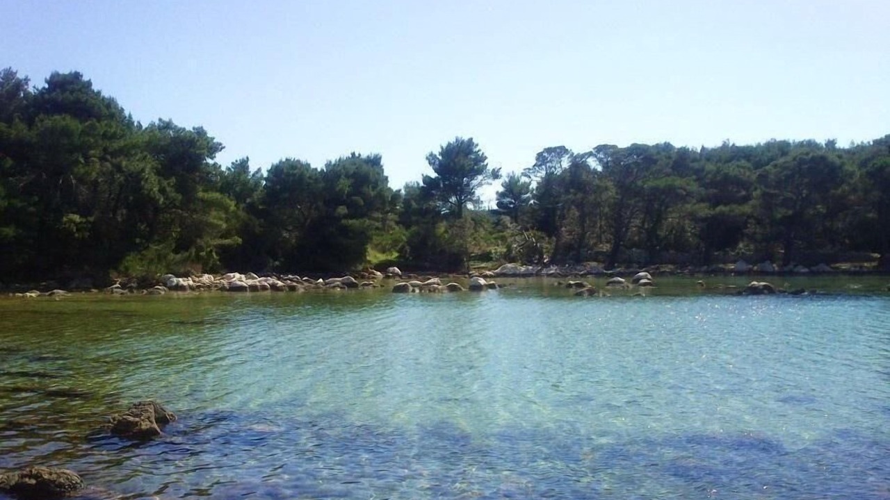 Photo of Outdoor in Molat