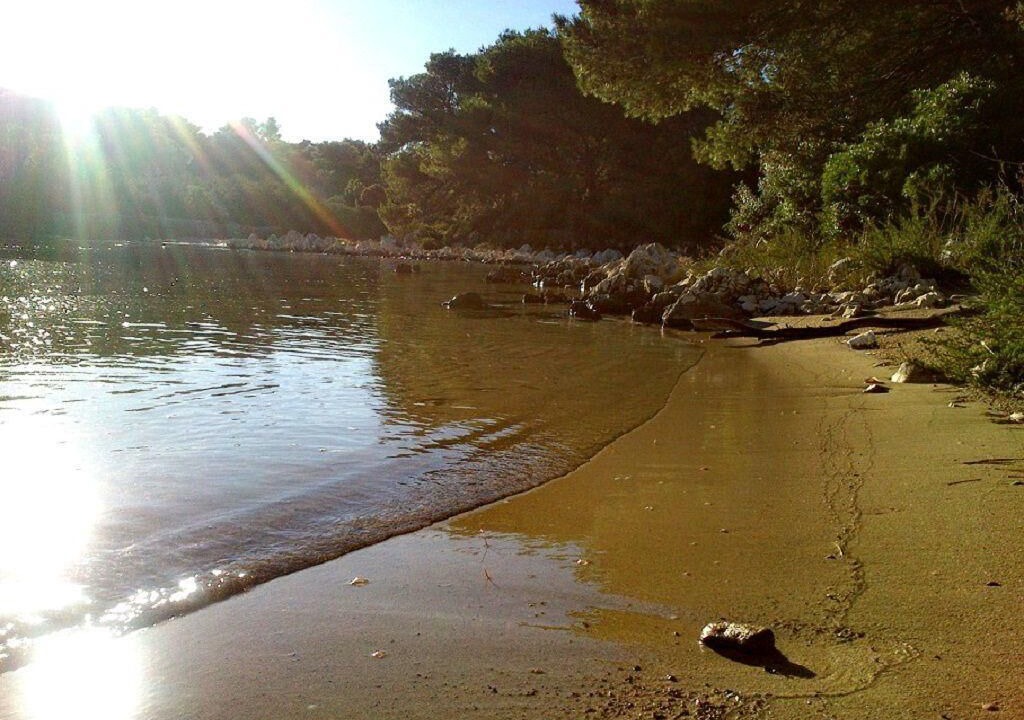 Photo of Others in Molat