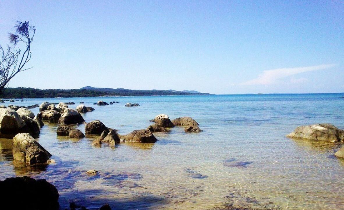 Photo of Others in Molat