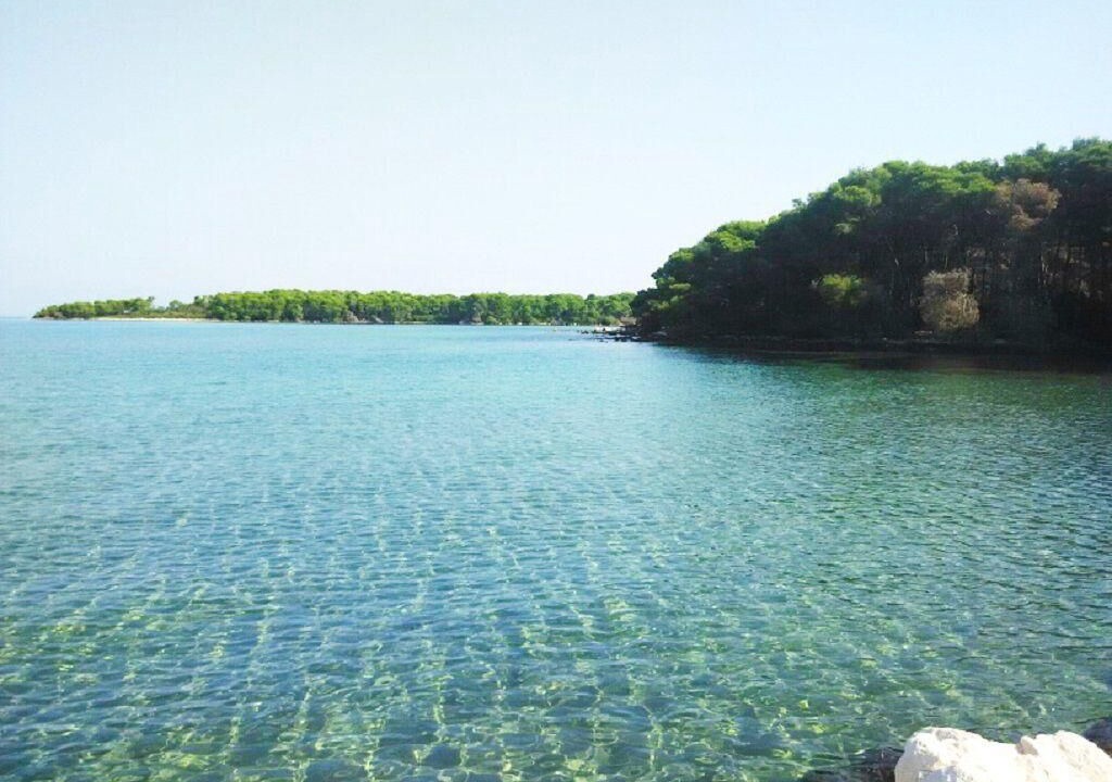 Photo of Others in Molat