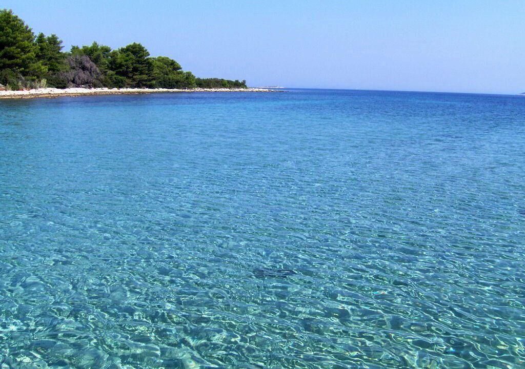 Photo of Outdoor in Molat
