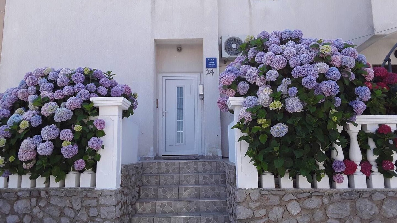 Photo of Outdoor in Cove Murtar