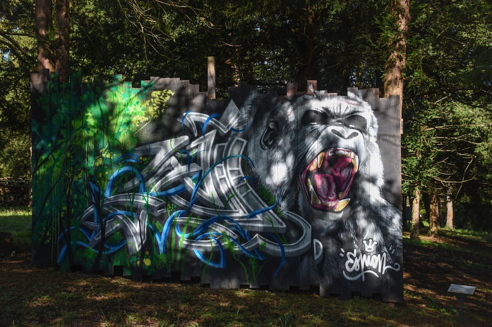 Photo of Outdoor in Candes-Saint-Martin