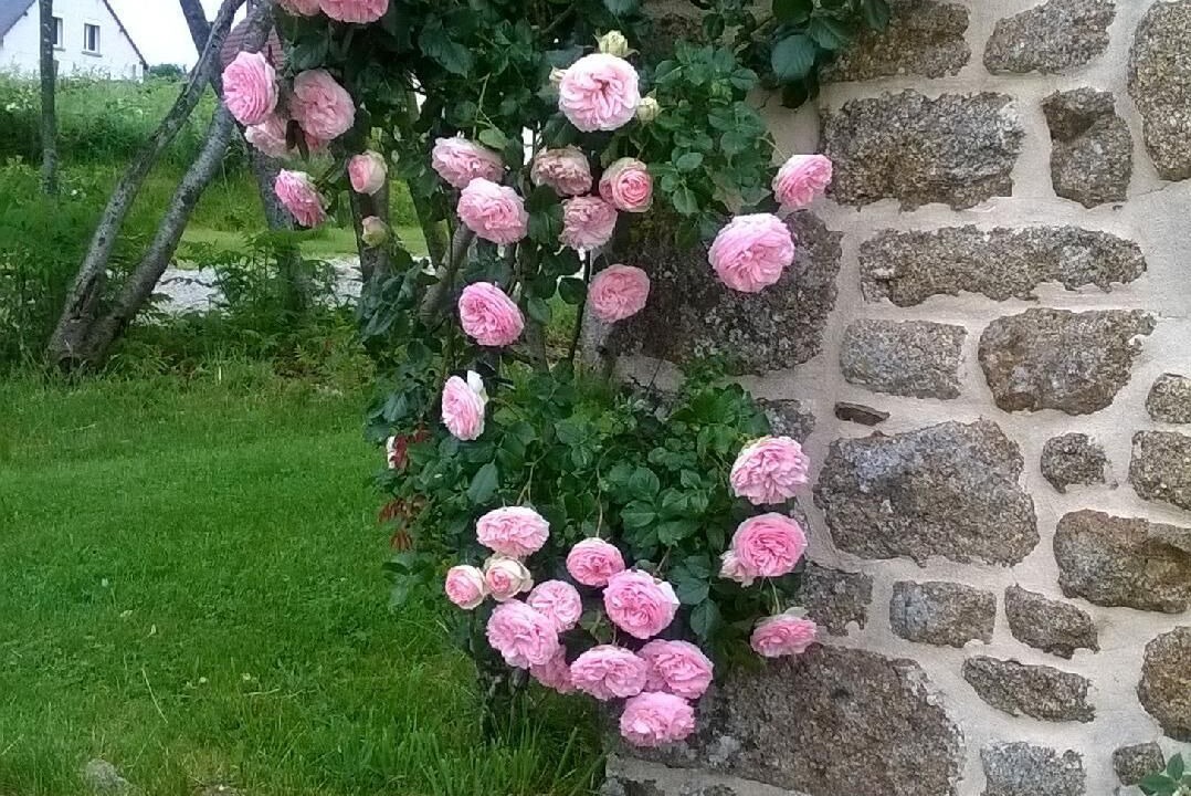 Photo of Outdoor in Saint-Bomer-les-Forges