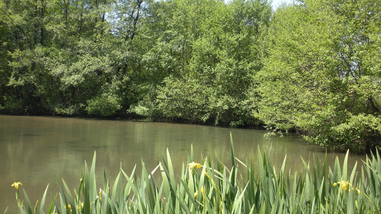 Photo of Outdoor in Saint-Bomer-les-Forges