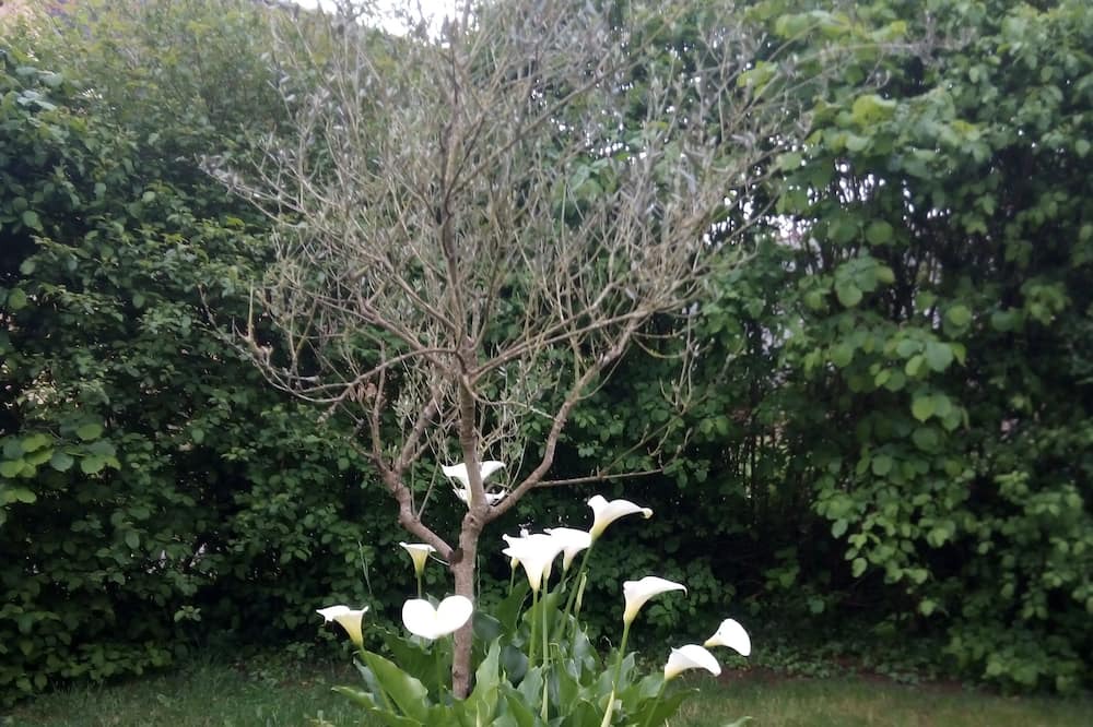 Photo of Outdoor in Maure-de-Bretagne