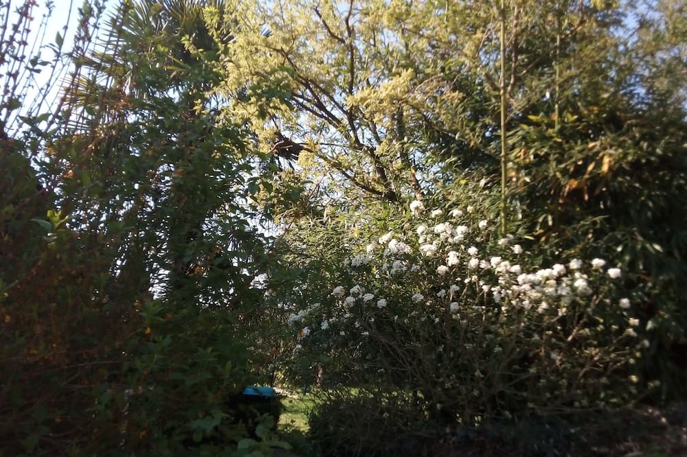 Photo of Outdoor in Maure-de-Bretagne