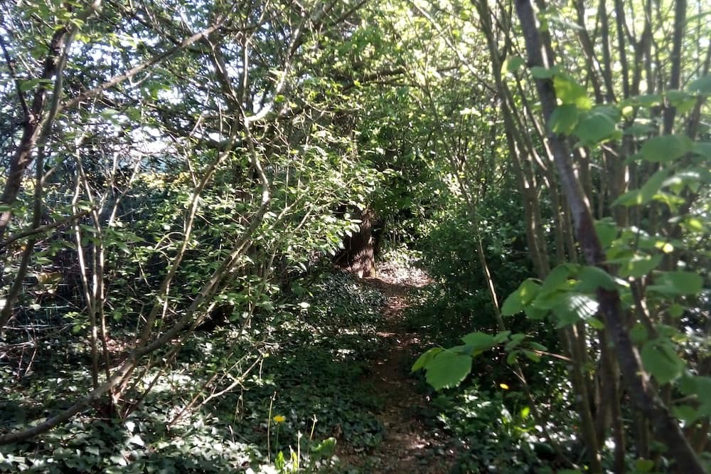 Photo of Outdoor in Maure-de-Bretagne