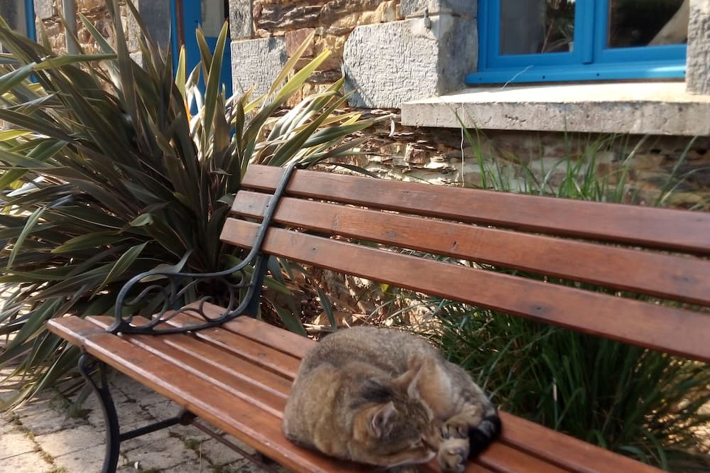 Photo of Patio Balcony in Maure-de-Bretagne