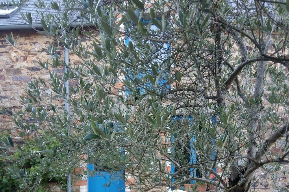 Photo of Outdoor in Maure-de-Bretagne