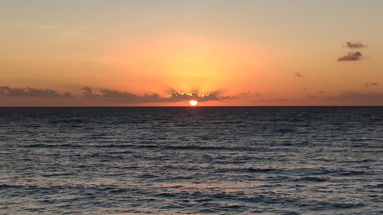 Photo of Others in Bira