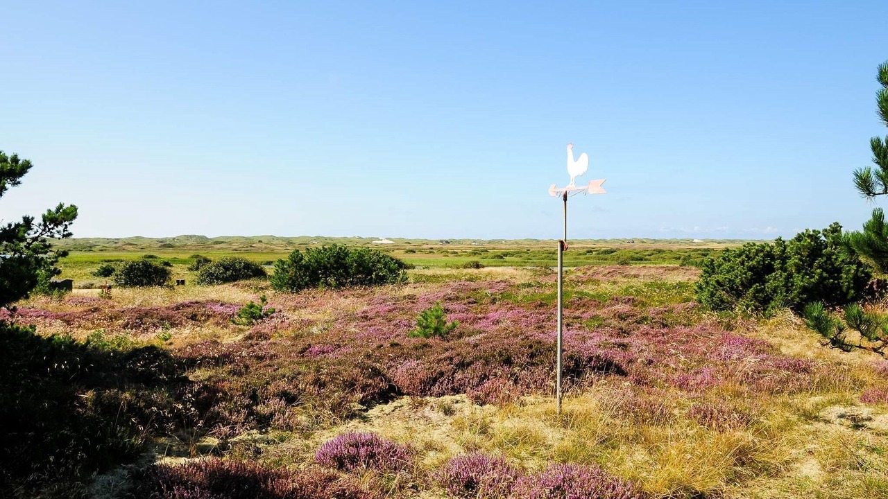 Photo of Outdoor in Nymindegab