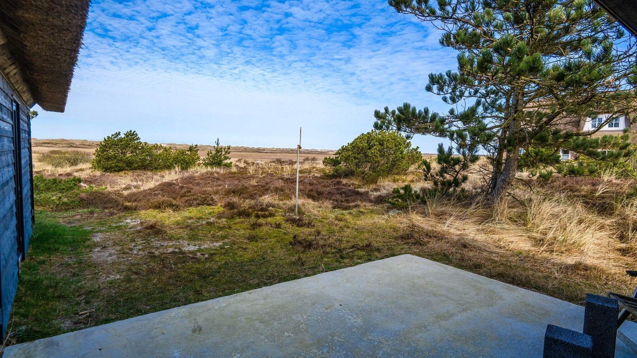 Photo of Outdoor in Nymindegab