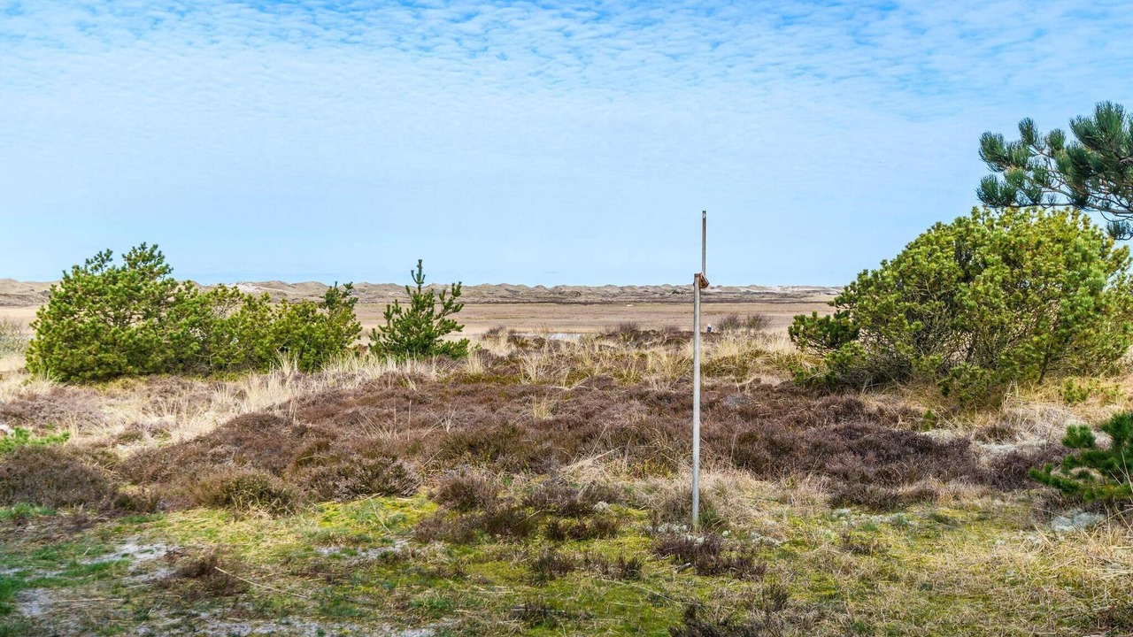 Photo of Outdoor in Nymindegab
