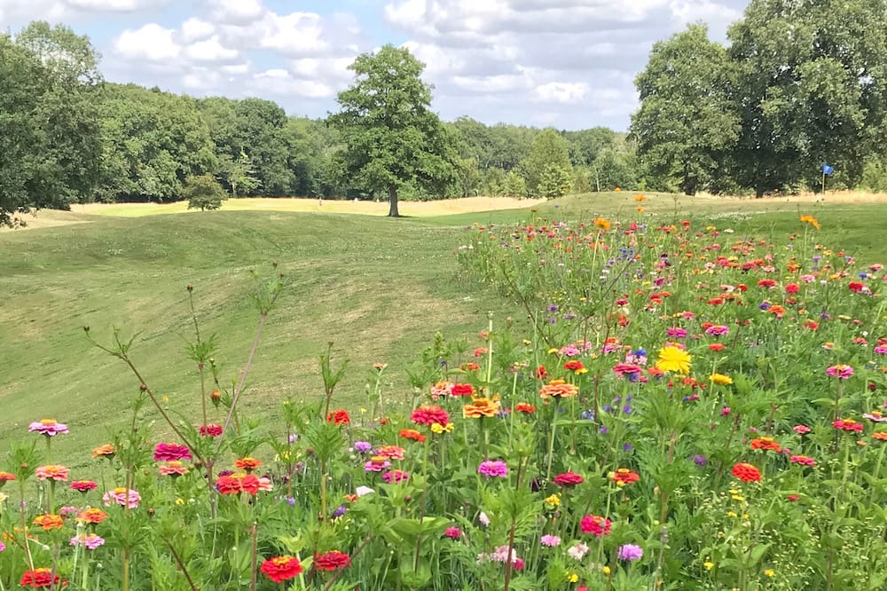 Photo of Outdoor in Les Forges